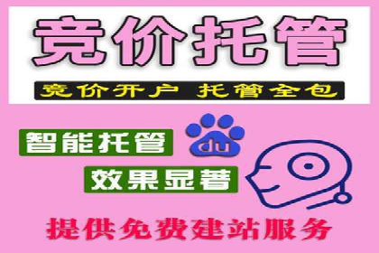 针对移动端的SEM广告投放策略及效果展示